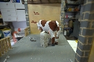 La mucca